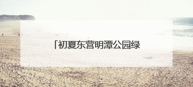初夏东营明潭公园绿意盎然，景色宜人
