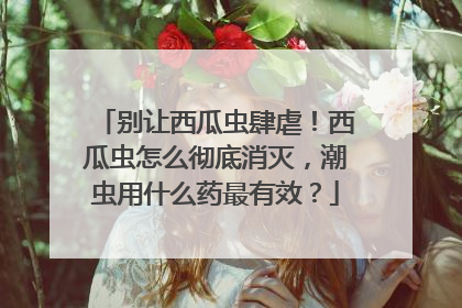 别让西瓜虫肆虐！西瓜虫怎么彻底消灭，潮虫用什么药最有效？