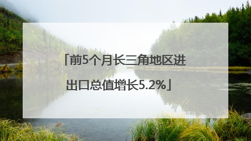 前5个月长三角地区进出口总值增长5.2%