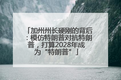 加州州长硬刚的背后：模仿特朗普对抗特朗普，打算2028年成为“特朗普”