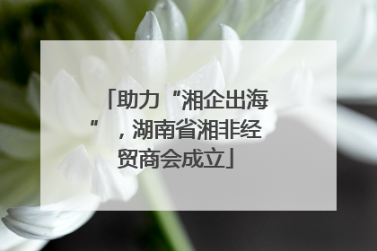 助力“湘企出海”，湖南省湘非经贸商会成立