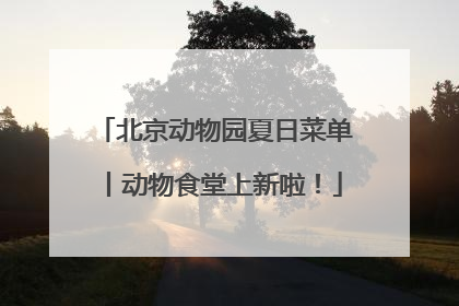 北京动物园夏日菜单丨动物食堂上新啦！
