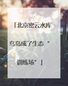 北京密云水库鸟岛成了生态“训练场”