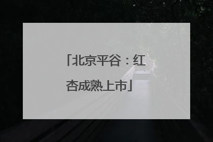 北京平谷：红杏成熟上市