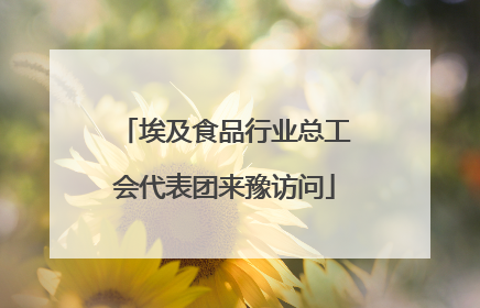 埃及食品行业总工会代表团来豫访问