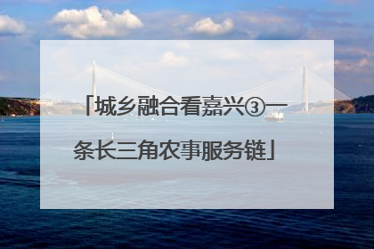 城乡融合看嘉兴③一条长三角农事服务链