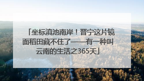 坐标滇池南岸！晋宁这片镜面稻田藏不住了——有一种叫云南的生活之365天