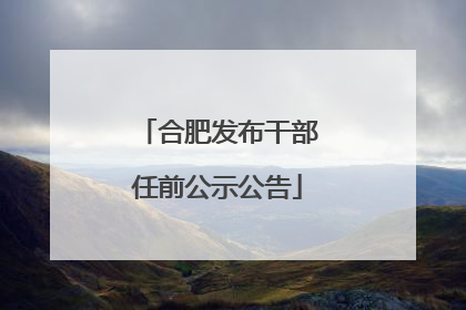 合肥发布干部任前公示公告