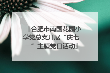合肥市南国花园小学党总支开展“庆七一”主题党日活动