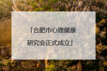 合肥市心理健康研究会正式成立