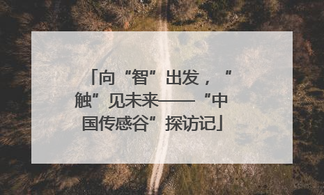 向“智”出发，“触”见未来——“中国传感谷”探访记