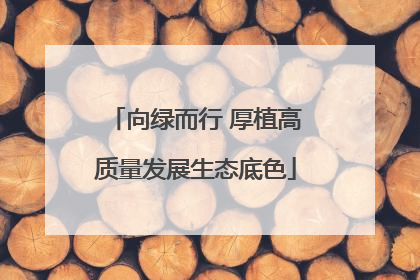 向绿而行 厚植高质量发展生态底色