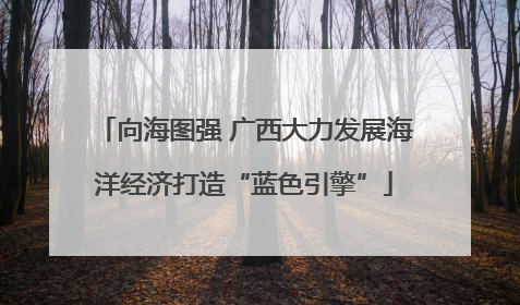 向海图强 广西大力发展海洋经济打造“蓝色引擎”