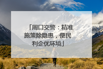 周口交警：精准施策除隐患，便民利企优环境