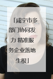 咸宁市多部门协同发力 精准服务企业落地生根