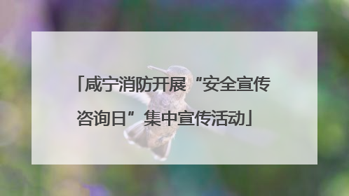 咸宁消防开展“安全宣传咨询日”集中宣传活动