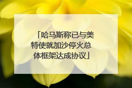 哈马斯称已与美特使就加沙停火总体框架达成协议