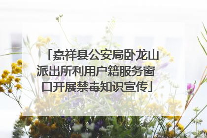 嘉祥县公安局卧龙山派出所利用户籍服务窗口开展禁毒知识宣传