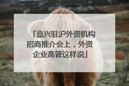 嘉兴驻沪外资机构招商推介会上，外资企业高管这样说