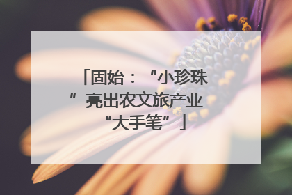 固始：“小珍珠”亮出农文旅产业“大手笔”