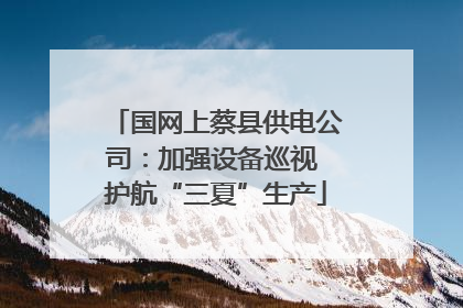 国网上蔡县供电公司：加强设备巡视 护航“三夏”生产