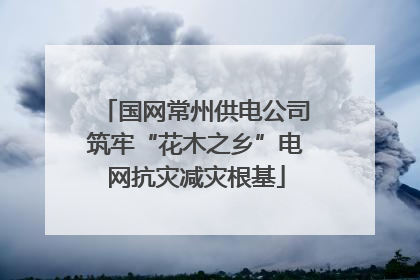 国网常州供电公司筑牢“花木之乡”电网抗灾减灾根基