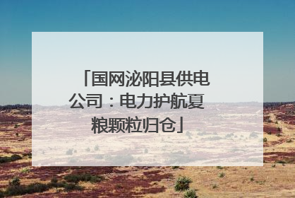 国网泌阳县供电公司：电力护航夏粮颗粒归仓