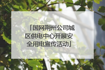 国网荆州公司城区供电中心开展安全用电宣传活动