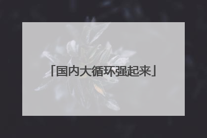 国内大循环强起来