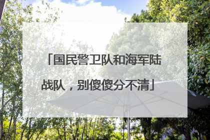 国民警卫队和海军陆战队，别傻傻分不清