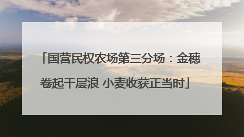 国营民权农场第三分场：金穗卷起千层浪 小麦收获正当时