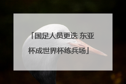 国足人员更迭 东亚杯成世界杯练兵场
