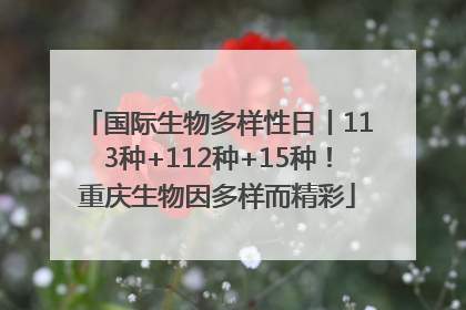 国际生物多样性日丨113种+112种+15种！重庆生物因多样而精彩