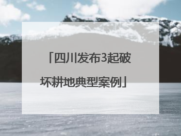 四川发布3起破坏耕地典型案例