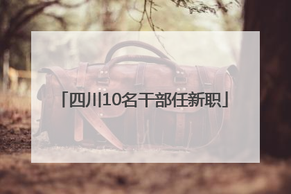四川10名干部任新职