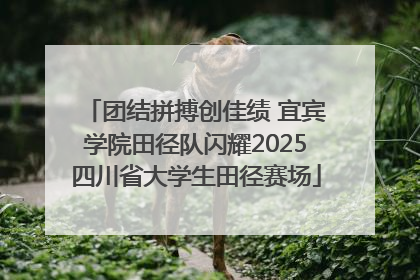 团结拼搏创佳绩 宜宾学院田径队闪耀2025四川省大学生田径赛场