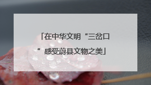 在中华文明“三岔口”感受蔚县文物之美