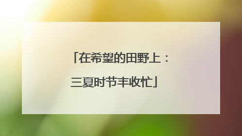 在希望的田野上：三夏时节丰收忙