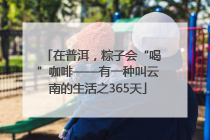 在普洱，粽子会“喝”咖啡——有一种叫云南的生活之365天