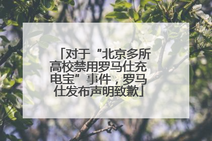 对于“北京多所高校禁用罗马仕充电宝”事件，罗马仕发布声明致歉