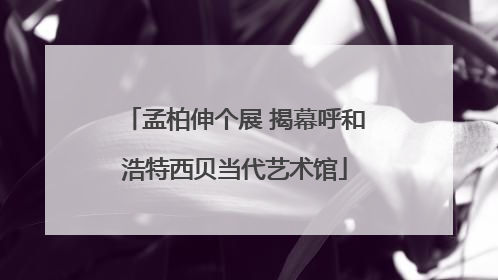 孟柏伸个展 揭幕呼和浩特西贝当代艺术馆