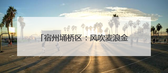 宿州埇桥区：风吹麦浪金满地 农机轰鸣保归仓
