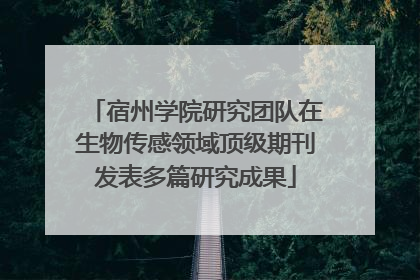 宿州学院研究团队在生物传感领域顶级期刊发表多篇研究成果