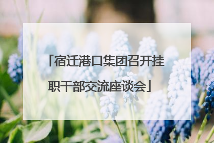 宿迁港口集团召开挂职干部交流座谈会