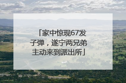 家中惊现67发子弹，遂宁两兄弟主动来到派出所
