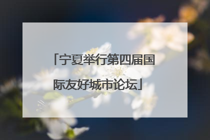 宁夏举行第四届国际友好城市论坛