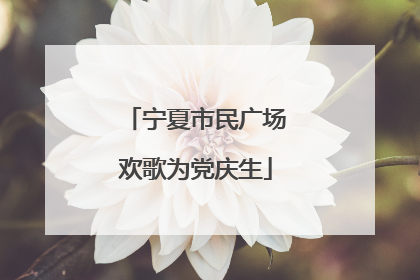 宁夏市民广场欢歌为党庆生