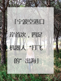 宁波空港口岸首次，四足机器人“打飞的”出海