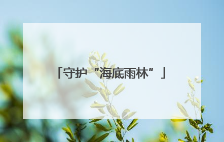 守护“海底雨林”