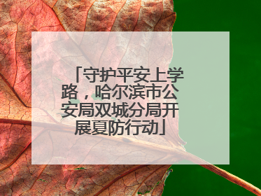 守护平安上学路，哈尔滨市公安局双城分局开展夏防行动